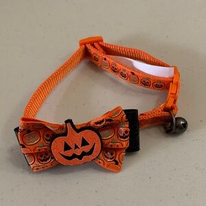 Cat Jack O Lantern Pumpkin Collar Bell Breakaway Latch Orange Black Green